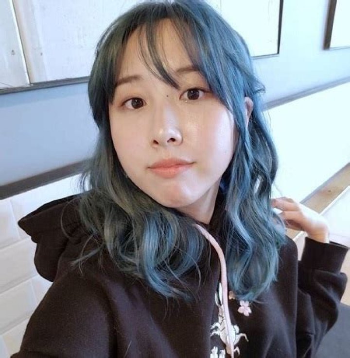Starsmitten (Twitch Streamer) Wiki, Height, Age, Boyfriend, Family, Biography & More